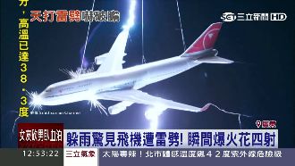 躲雨驚見飛機遭雷劈　瞬間爆火花四射