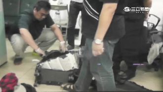 4.3公斤毒藏行李箱　過X光就破功