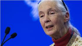 珍古德Jane Goodall_路透社