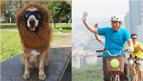 狗,柯文哲,流浪毛孩-組圖／翻攝自柯文哲臉書