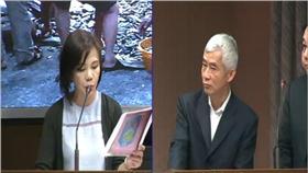 葉宜津,賀陳旦　圖／翻攝自立法院直播