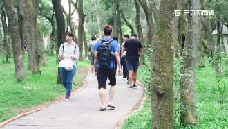 小心這背影！襲胸肘擊哥出沒東海大學