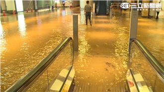 桃園機場淹水　網友：錢拿去蓋泳池？