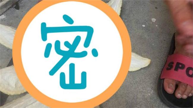 網購35元榴槤　切開卻發現悲劇一場