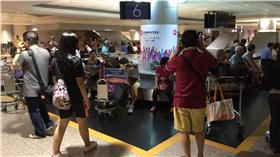 桃機,停電,行李,轉盤,旅客（圖／翻攝畫面）