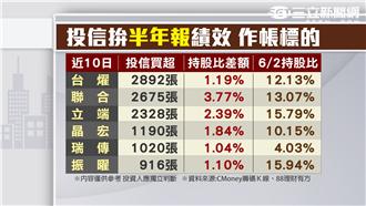投信拚「半年報」績效　搭投信順風車