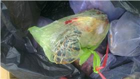 海龜疑遭吃下肚／PTT
http://imgur.com/a/1I1V8