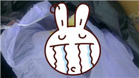 海龜疑遭吃下肚／PTT
http://imgur.com/a/1I1V8