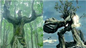 樹人,http://www.dailymail.co.uk/news/article-3619890/He-shrubs-nicely-Bizarre-tree-looks-just-like-real-person-spotted-Bulgaria.html