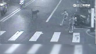 騎士違規紅燈右轉　煞車不及撞飛男童