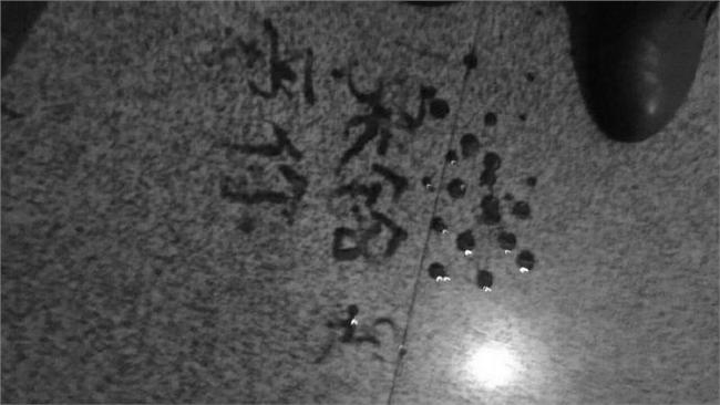 女寫「愛你」血書　男子嚇慘報警求救