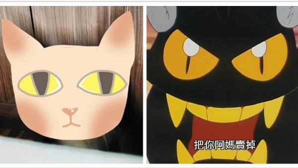 把你阿嬤賣掉！黑貓NG照意外成明星