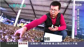 台灣亮起來 南投有機菇