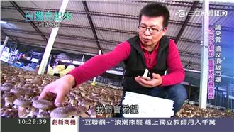 論朵賣的有機菇　紅到國外訂單接不完