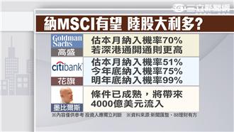 納MSCI有望　陸股大利多？