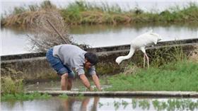 金山小鶴

取自紐約時報網頁www.nytimes.com