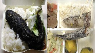 黑暗料理？超猛魚便當讓網友直呼恐怖