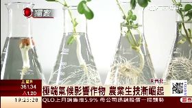 農技喊開放1200