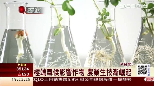 海外闖出好成績　台農業生技回流掛牌
