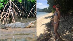 鱷魚/每日郵報、FB：Cindy Waldron