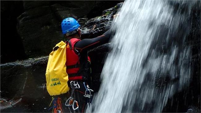 「粉鳥客」標榜專業　網友翻舊文打臉