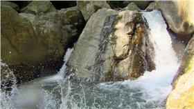 圖／翻攝自粉鳥客山野歷險臉書