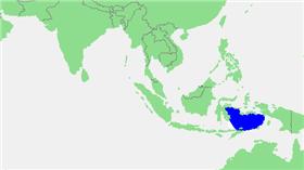 班達海,圖／維基百科