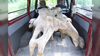 怪盜愛偷奇木椅　栽在「一張發票」