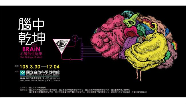 鼓勵青年展創意　腦中乾坤動畫徵件囉