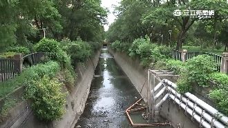 獨／女大生離奇卡涵洞　疑因偷幹這事