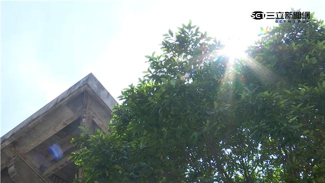 5、6月飆高溫　熱傷害送醫人數倍增