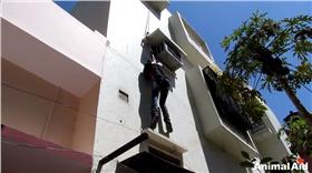 花栗鼠@Animal Aid Unlimited,India