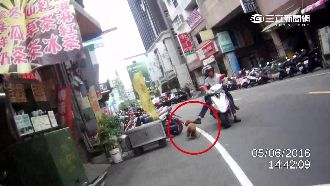 3警騎車追300公尺　抓落跑紅貴賓