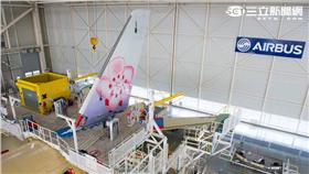 華航A350新機組裝中。（圖／空中巴士提供）
