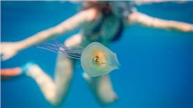 圖取自塞謬爾Instagram