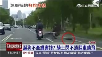 遛狗沒牽繩害人？騎士輾過長條物翻車