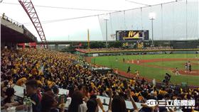 洲際球場滿場（王怡翔攝）