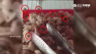 燒烤店生意夯　9隻蒼蠅飛冰箱啖肉片