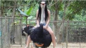 ▲女子騎鴕鳥奇異照。（圖／翻攝自一旦接受了這種設定 臉書專頁）
