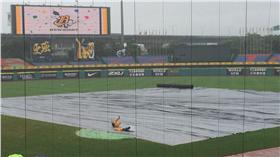 台中洲際（中華職棒提供）