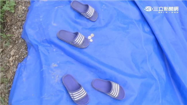 屏東小學堂兄弟戲水失足　一死一昏迷