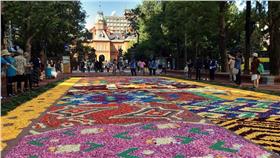 北海道札幌花毯節。（圖／翻攝自Sapporo Flower Carpet臉書）