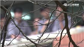 -高中生-國中生-中學生-霸凌-校園-