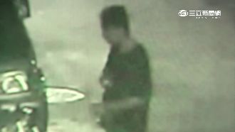 2年前隨機刺人　惡少出獄後砍樹發洩