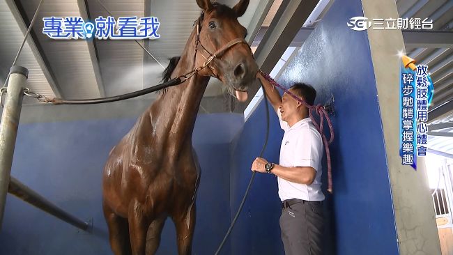 奧運級馬術啟蒙教練　莊智生幫馬美甲
