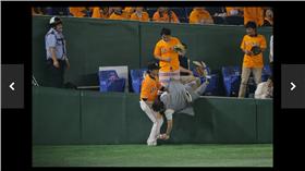 ▲長野久義扶住美技接殺的球迷（圖／翻攝自報知體育官網）