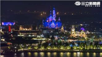 上海迪士尼　草叢驚見男童隨地大便