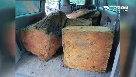 f偷扁柏被逮2400 