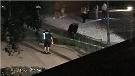 鱷魚
意外http://www.orlandosentinel.com/news/breaking-news/os-child-dragged-alligator-disney-20160614-story.html