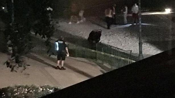 佛州迪士尼度假區　驚傳鱷魚咬走男童